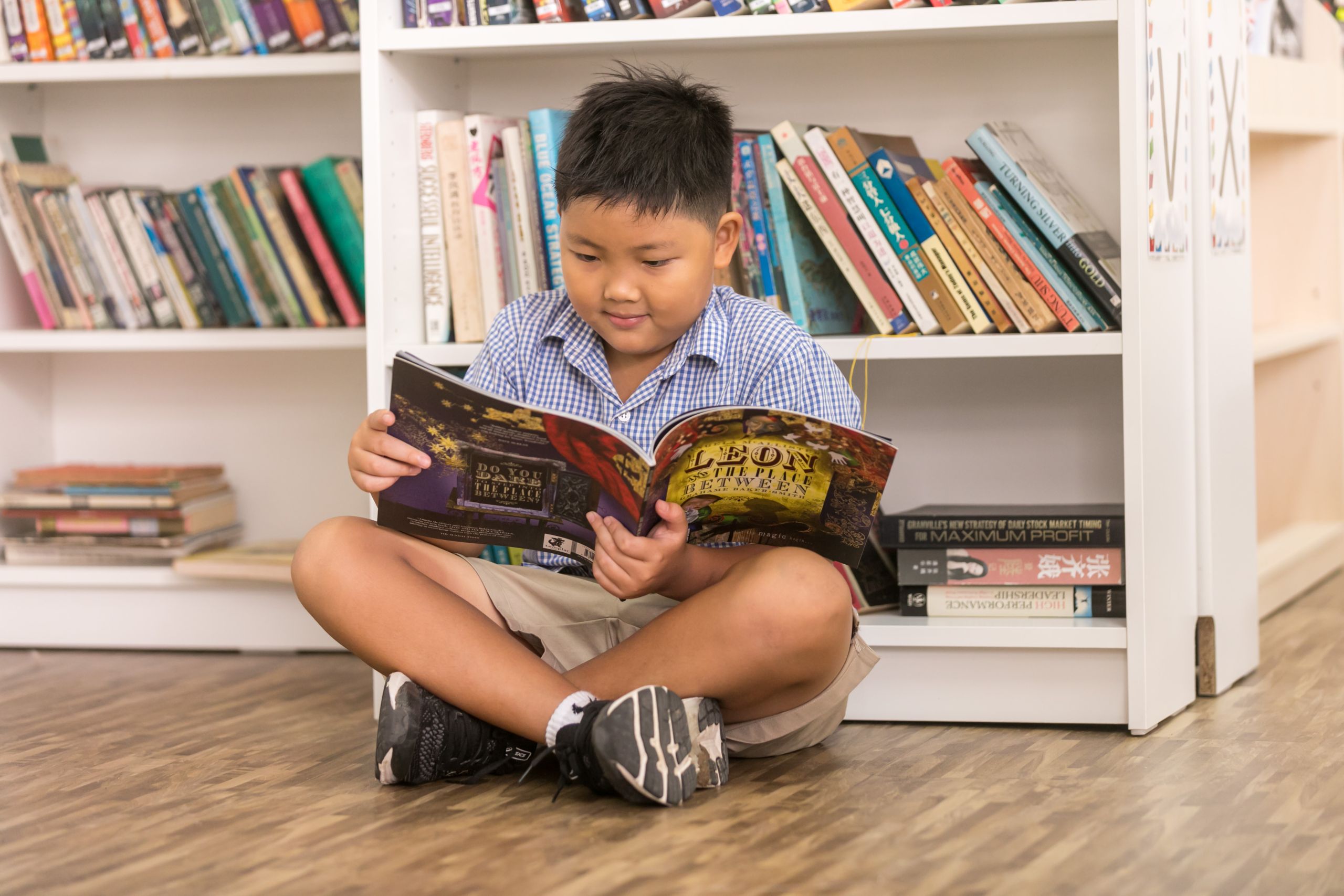 holiday reads: a middleton booklist for primary learners